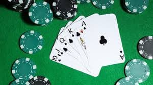 5588bet7